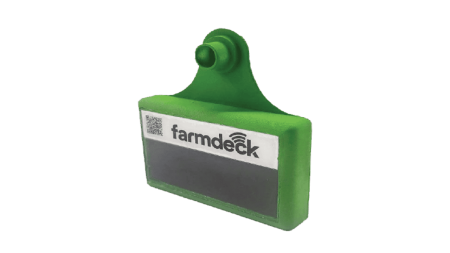 Cattle Tag